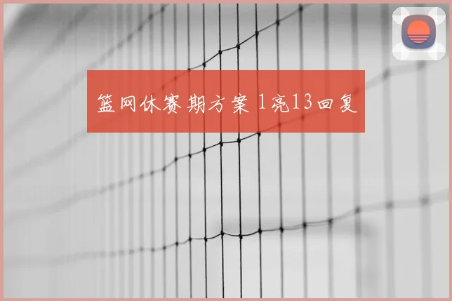 篮网休赛期方案 1亮13回复
