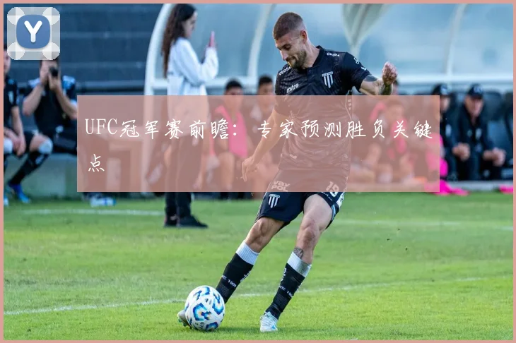UFC冠军赛前瞻：专家预测胜负关键点