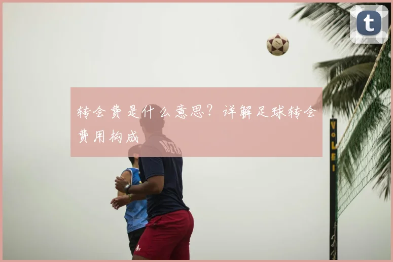 转会费是什么意思?详解足球转会费用构成